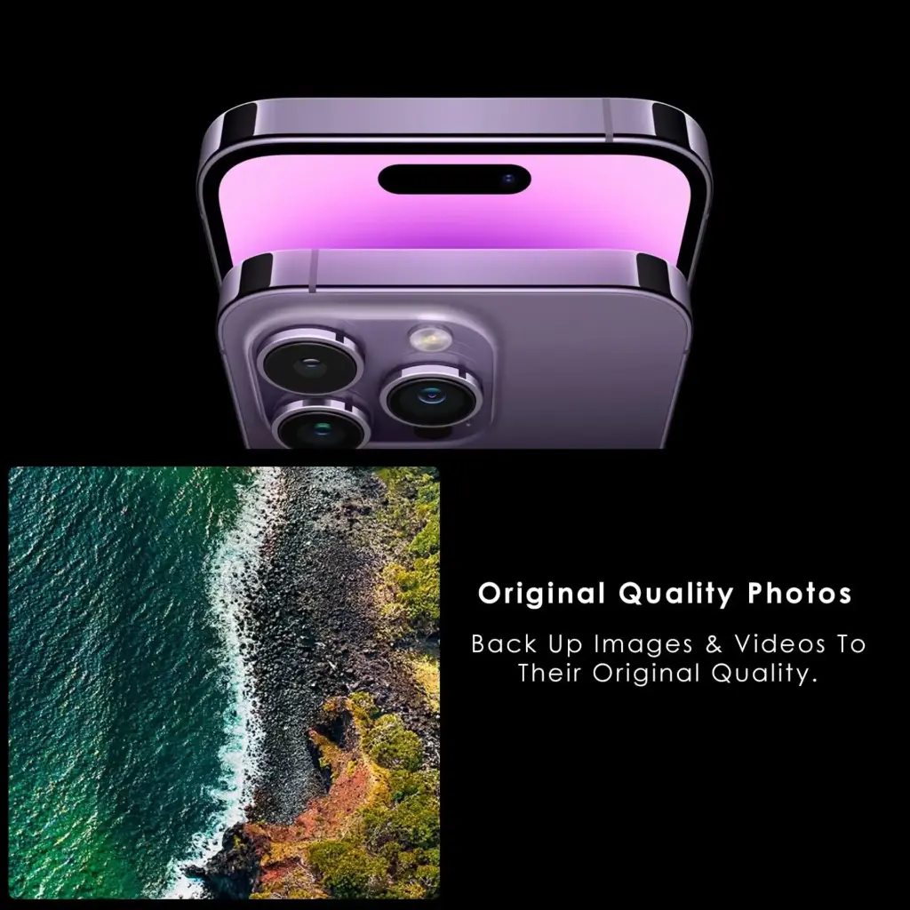 Untitled design (6).webp