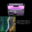 Untitled design (6).webp