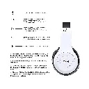 Untitled design (4).webp